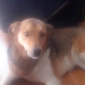 Meet your Posher, Christy